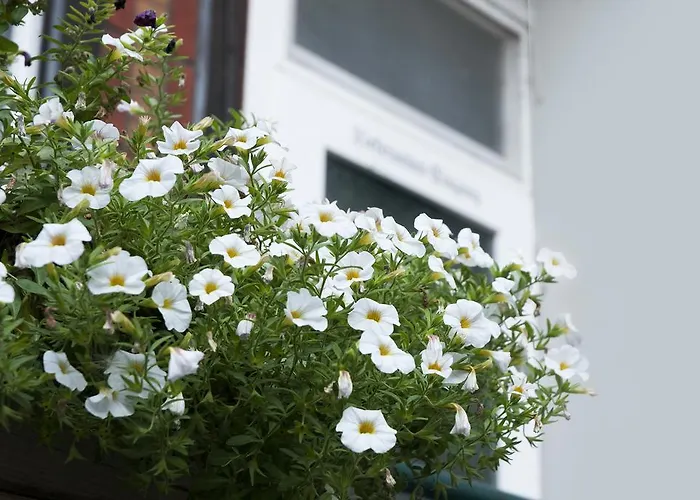 Hajo's Germania & Irish Pub Деревянный коттедж